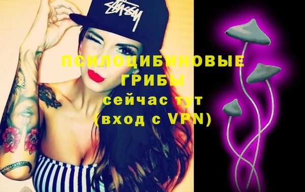 экстази Алексин