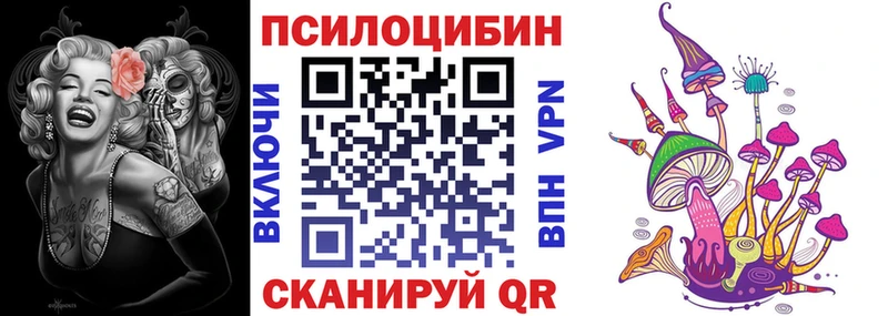 хочу наркоту  kraken   Галлюциногенные грибы MAGIC MUSHROOMS  Октябрьский 